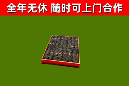 铁西区回收海参